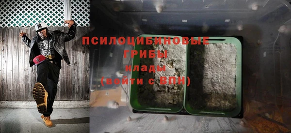 прущая мука Аркадак