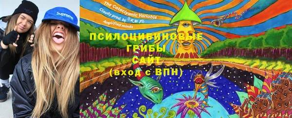 бутират Арсеньев