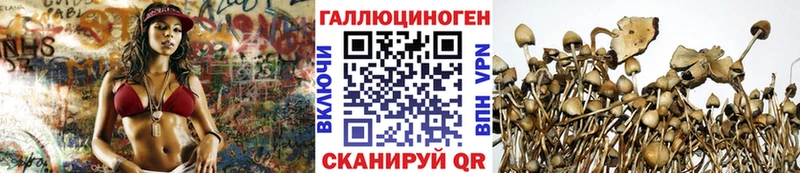 Галлюциногенные грибы Psilocybe  Пущино 
